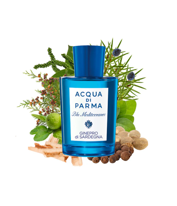 ⁦Acqua Di Parma Blu Mediterraneo Ginepro di Sardegna EDT⁩ - الصورة ⁦2⁩