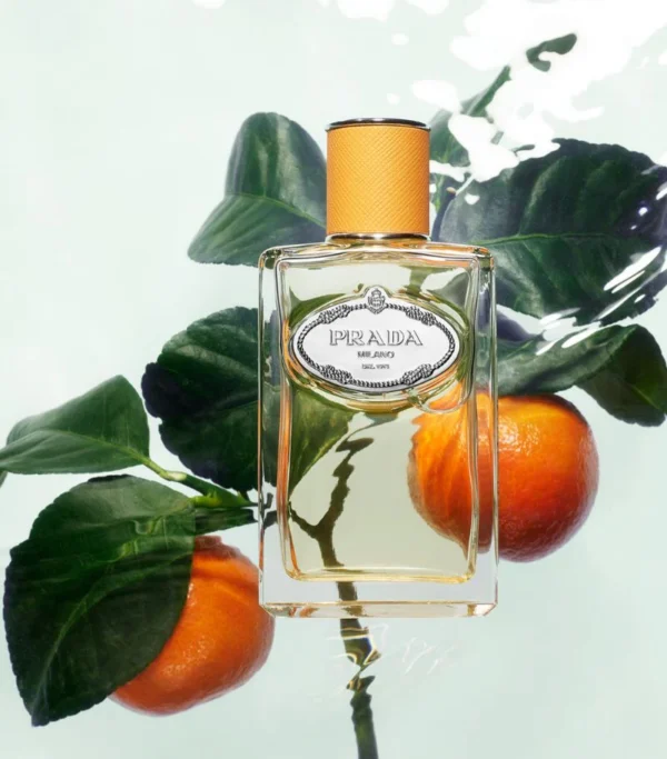 ⁦Prada Infusion De Mandarine Eau De Parfum 100ML⁩ - الصورة ⁦2⁩