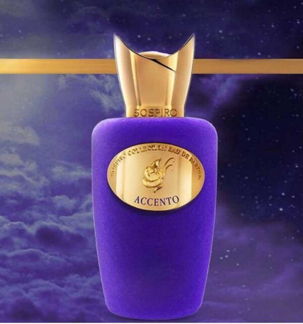 ⁦Xerjoff Accento Unisex EDP Tester 100ML⁩ - الصورة ⁦2⁩