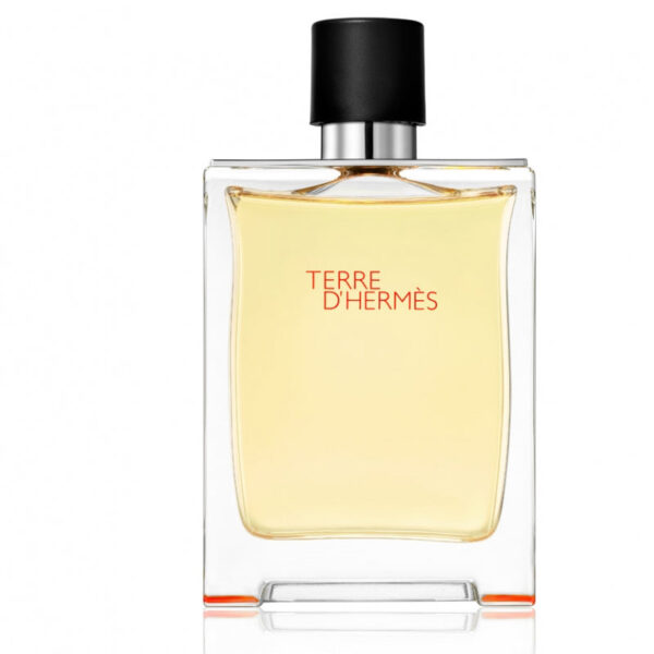 Hermes Terre D'Hermes H Eau De Toilette Bottle 100ml